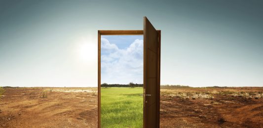 מהפכה פנסיונית: איך משנות קרנות הפנסיה הנבחרות את שוק הפנסיה בישראל?