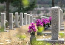 מצבות מעוצבות: עיצוב אישי וייחודי