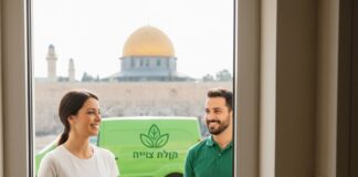 ירקות ופירות אורגניים עד הבית ירקות ופירות אורגניים עד הבית